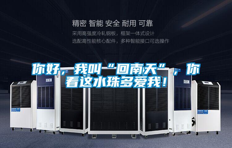 你好，我叫“回南天”，你看這水珠多愛我！