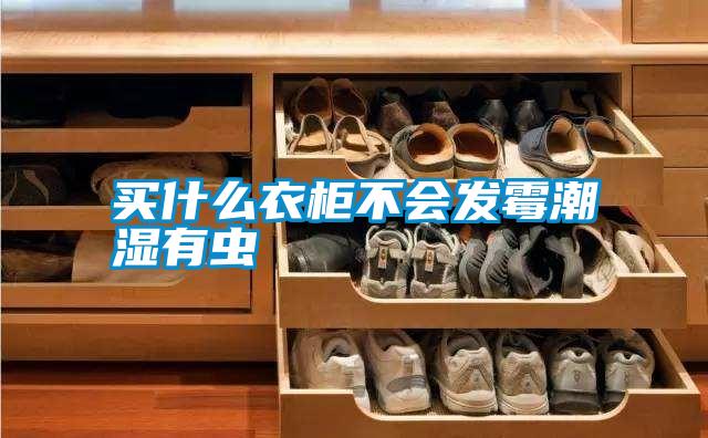 買(mǎi)什么衣柜不會(huì)發(fā)霉潮濕有蟲(chóng)
