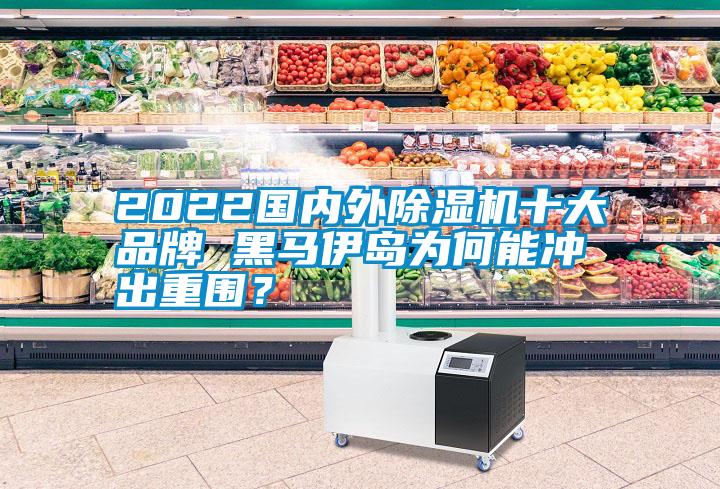 2022國內外除濕機十大品牌 黑馬伊島為何能沖出重圍？