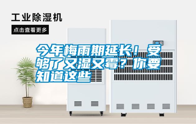 今年梅雨期延長！受夠了又濕又霉？你要知道這些