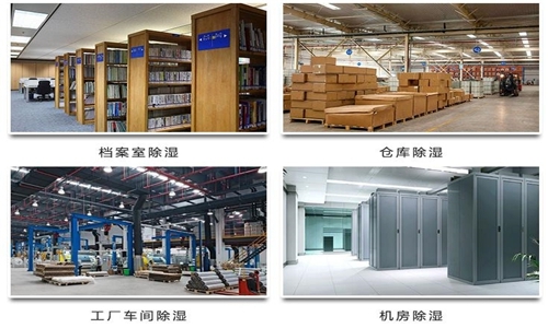 為什么竹筍烘干房需要除濕機？