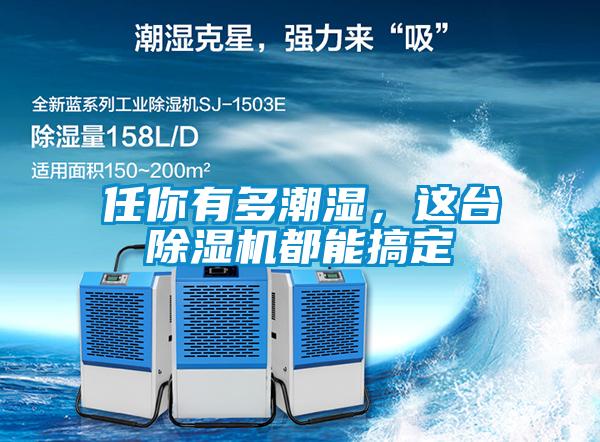 任你有多潮濕，這臺除濕機都能搞定