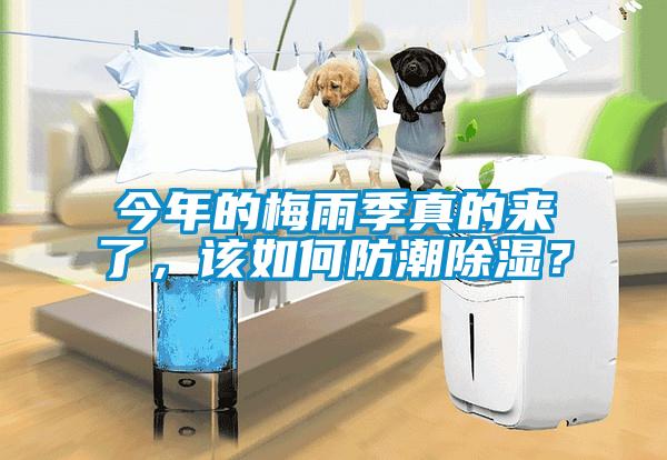 今年的梅雨季真的來(lái)了，該如何防潮除濕？