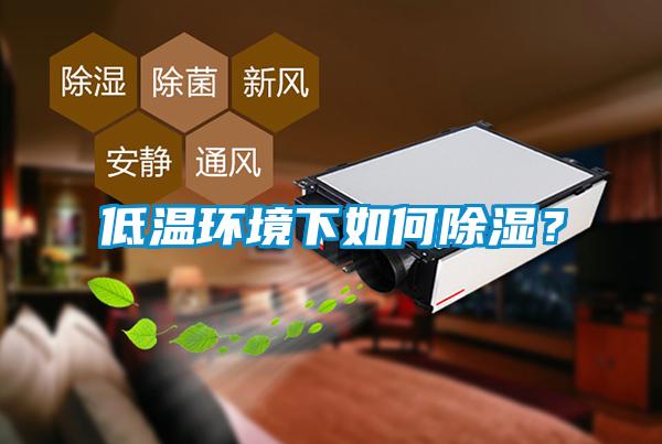 低溫環(huán)境下如何除濕？