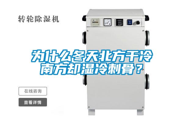 為什么冬天北方干冷南方卻濕冷刺骨？