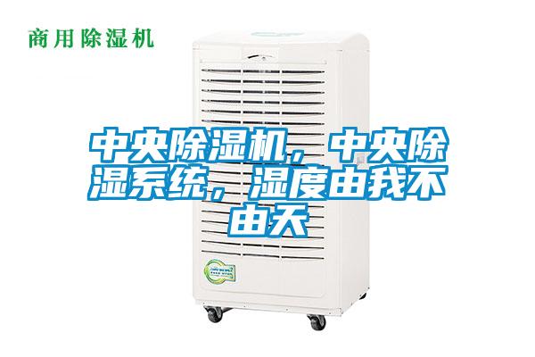 中央除濕機(jī)，中央除濕系統(tǒng)，濕度由我不由天
