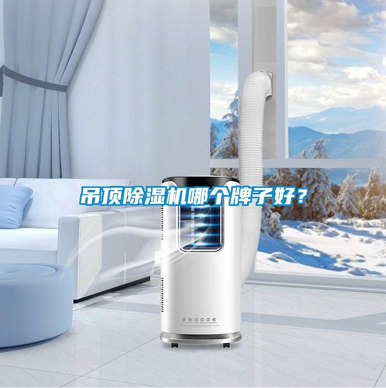 吊頂除濕機哪個牌子好？