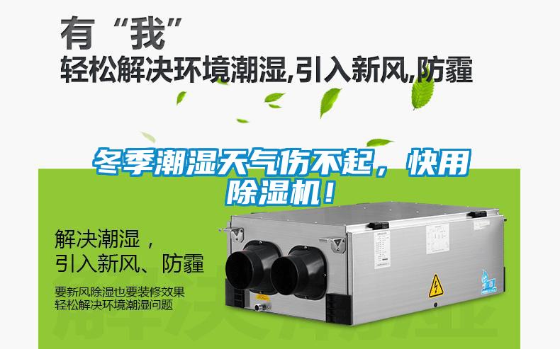 冬季潮濕天氣傷不起，快用除濕機！