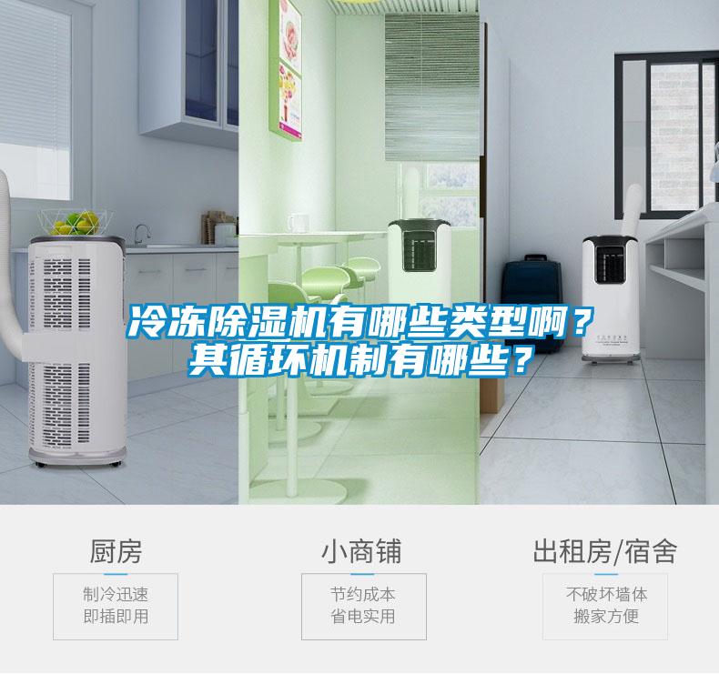 冷凍除濕機有哪些類型??？其循環(huán)機制有哪些？