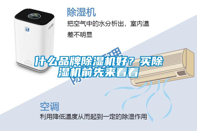什么品牌除濕機好？買除濕機前先來看看