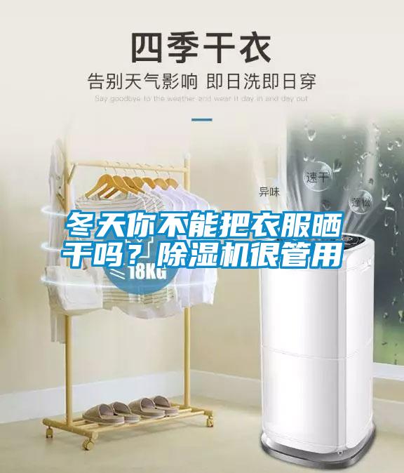 冬天你不能把衣服曬干嗎？除濕機很管用