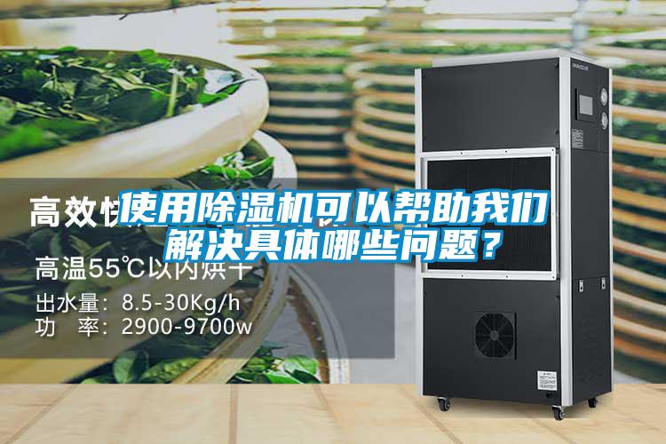 使用除濕機可以幫助我們解決具體哪些問題？