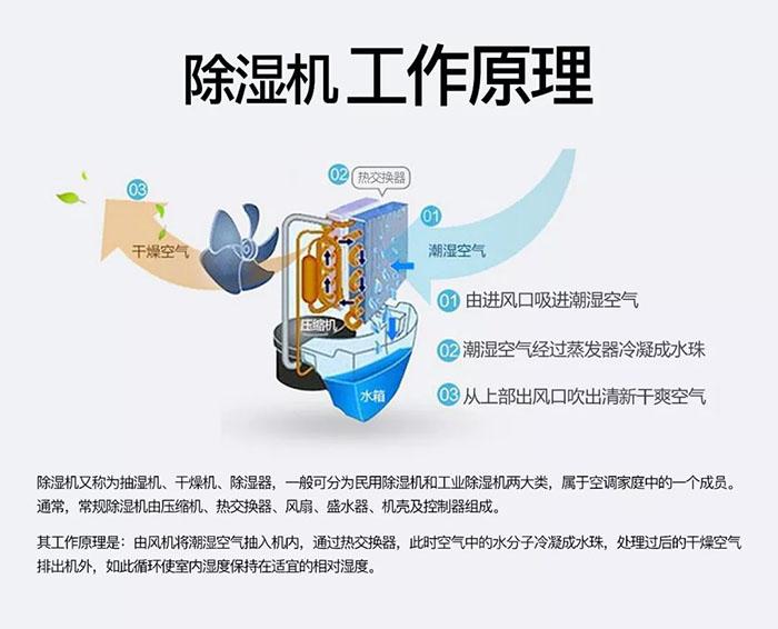 南北之爭：南方的濕冷比北方的干冷更變態？