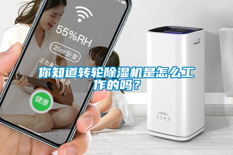 你知道轉(zhuǎn)輪除濕機(jī)是怎么工作的嗎？