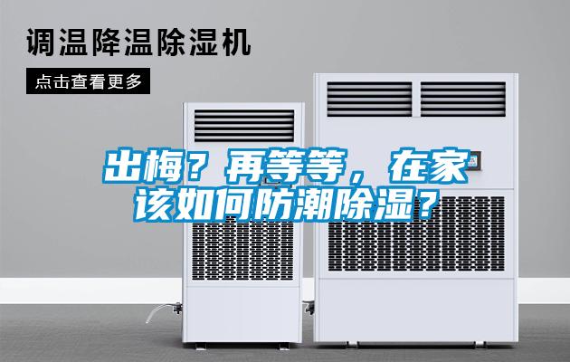 出梅？再等等，在家該如何防潮除濕？