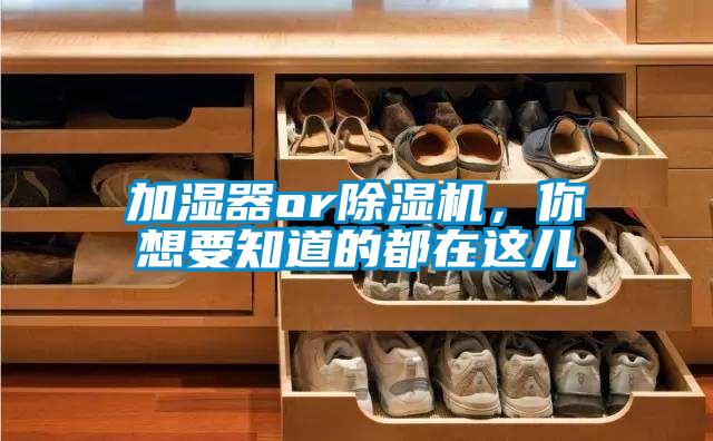 加濕器or除濕機，你想要知道的都在這兒
