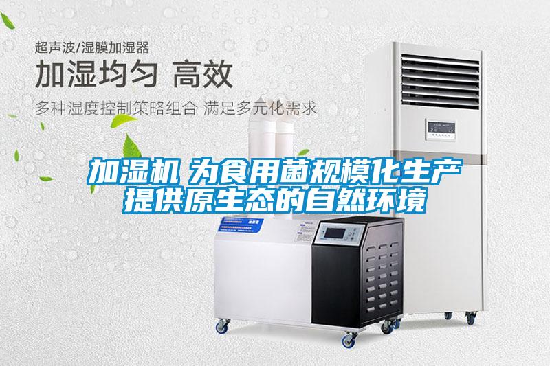 加濕機　為食用菌規(guī)?；a(chǎn)提供原生態(tài)的自然環(huán)境