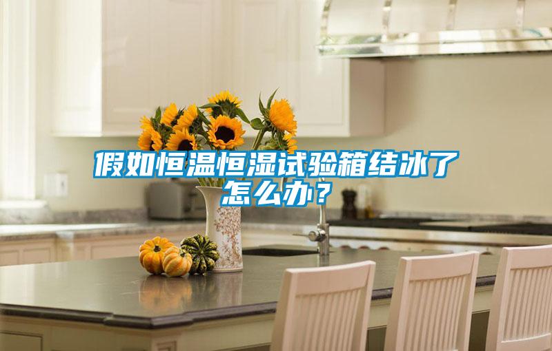 假如恒溫恒濕試驗(yàn)箱結(jié)冰了怎么辦？