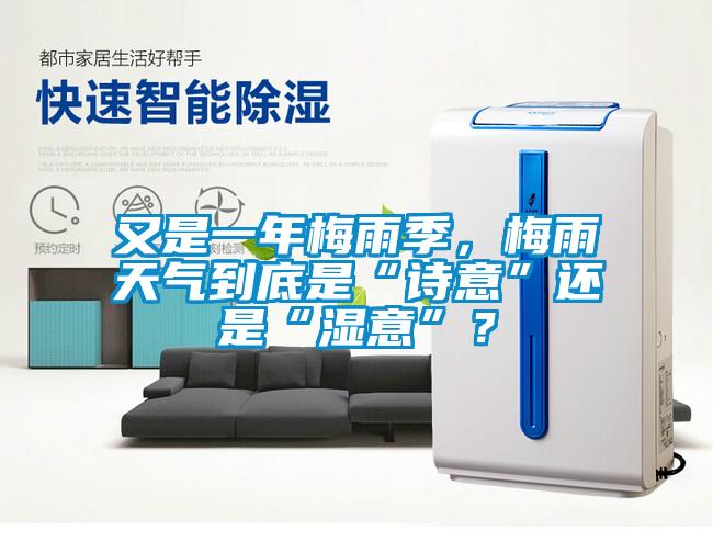 又是一年梅雨季，梅雨天氣到底是“詩意”還是“濕意”？