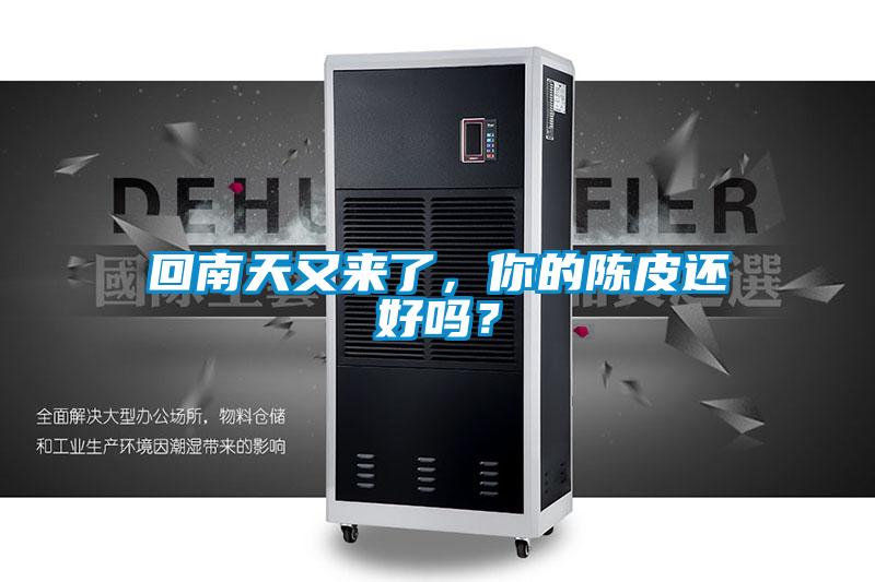 回南天又來了，你的陳皮還好嗎？