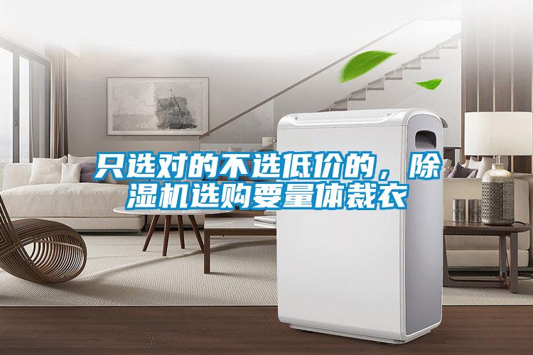 只選對的不選低價的，除濕機選購要量體裁衣
