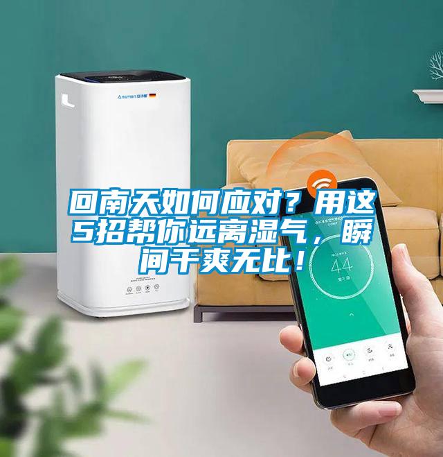 回南天如何應對？用這5招幫你遠離濕氣，瞬間干爽無比！