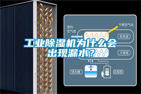 工業(yè)除濕機為什么會出現(xiàn)漏水？