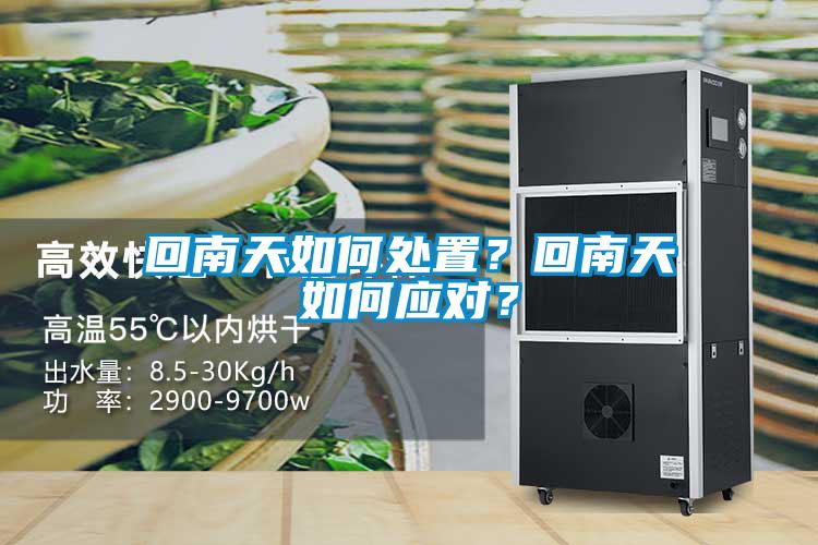 回南天如何處置？回南天如何應對？