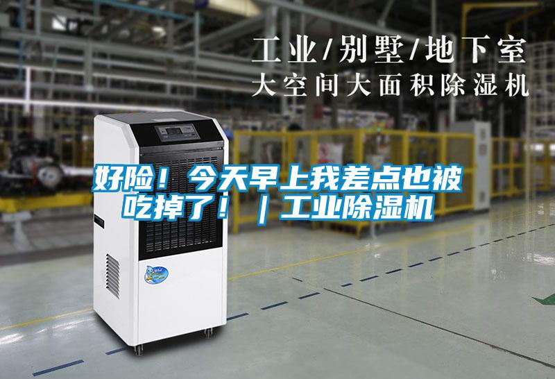 好險(xiǎn)！今天早上我差點(diǎn)也被吃掉了?。I(yè)除濕機(jī)