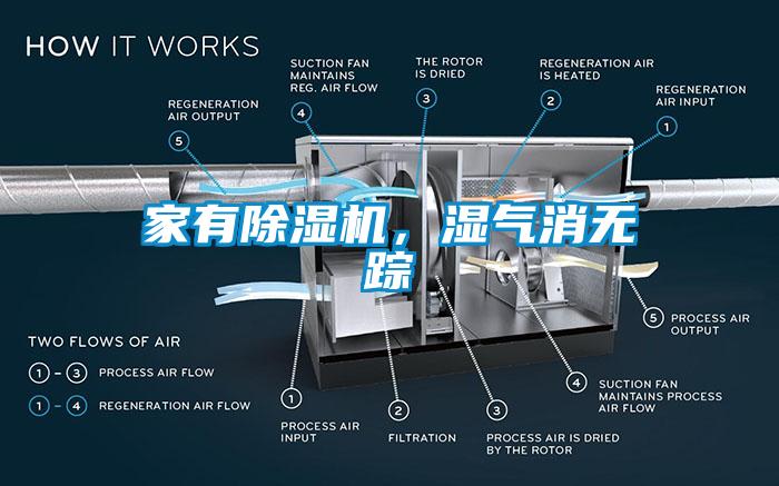 家有除濕機，濕氣消無蹤