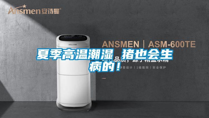 夏季高溫潮濕 豬也會生病的！