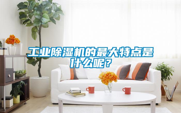 工業(yè)除濕機(jī)的最大特點(diǎn)是什么呢？
