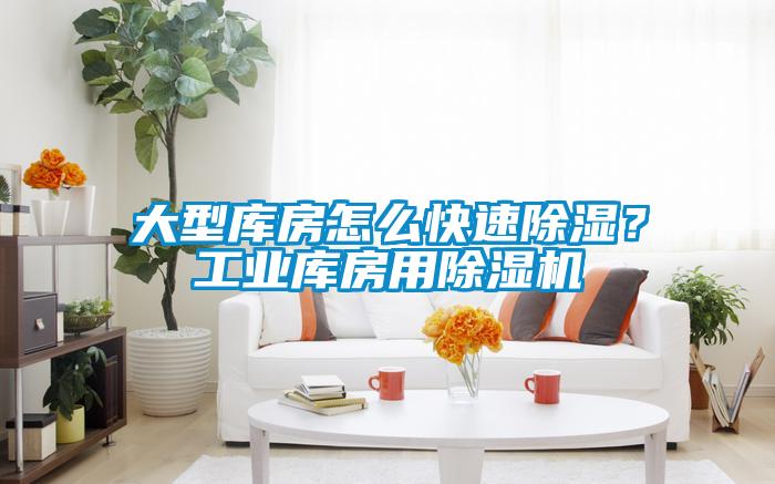 大型庫房怎么快速除濕？工業庫房用除濕機