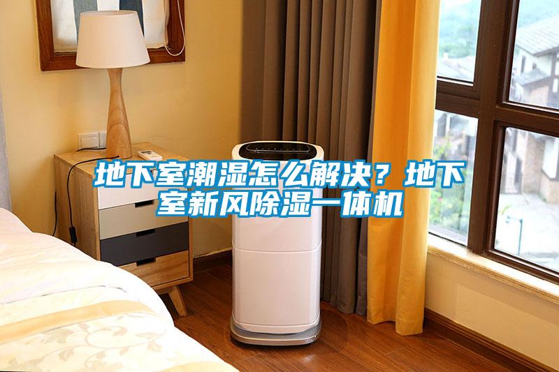 地下室潮濕怎么解決？地下室新風除濕一體機