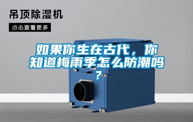 如果你生在古代，你知道梅雨季怎么防潮嗎？