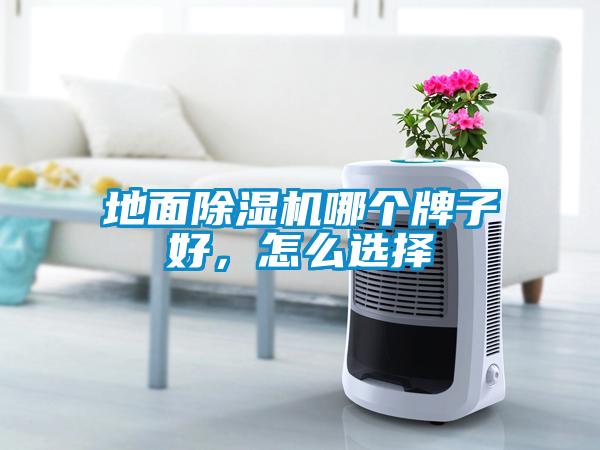 地面除濕機(jī)哪個牌子好，怎么選擇