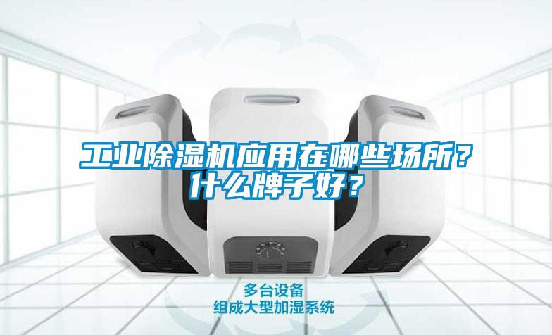 工業(yè)除濕機應用在哪些場所？什么牌子好？