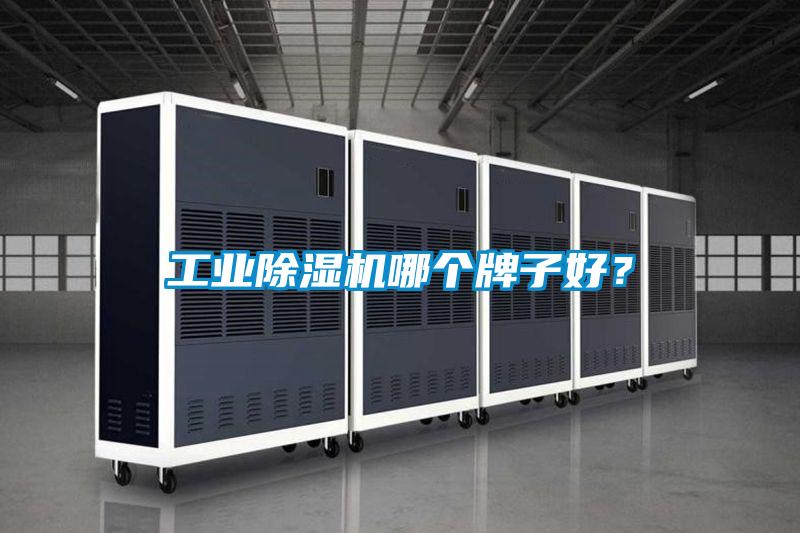 工業(yè)除濕機哪個牌子好？