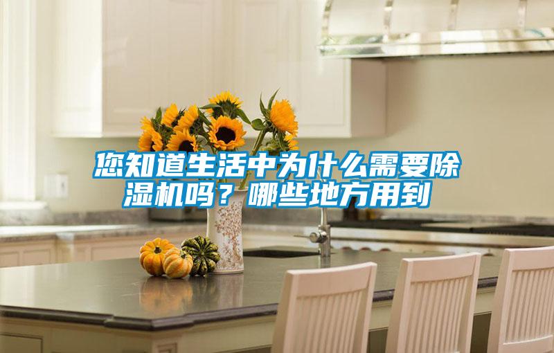 您知道生活中為什么需要除濕機(jī)嗎？哪些地方用到
