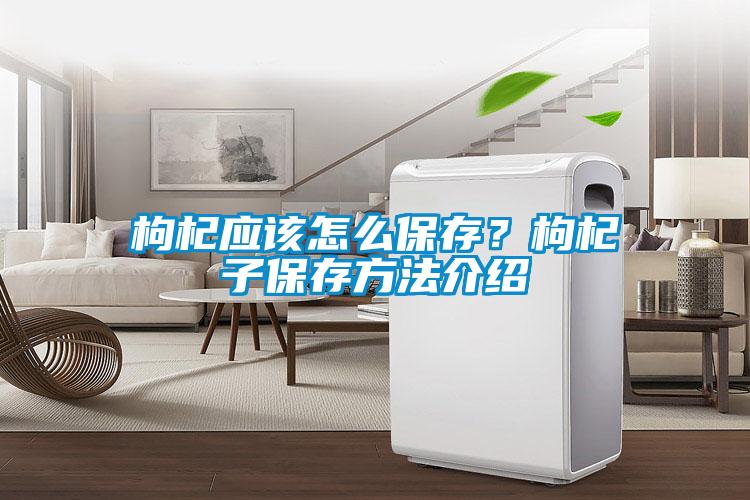 枸杞應(yīng)該怎么保存？枸杞子保存方法介紹