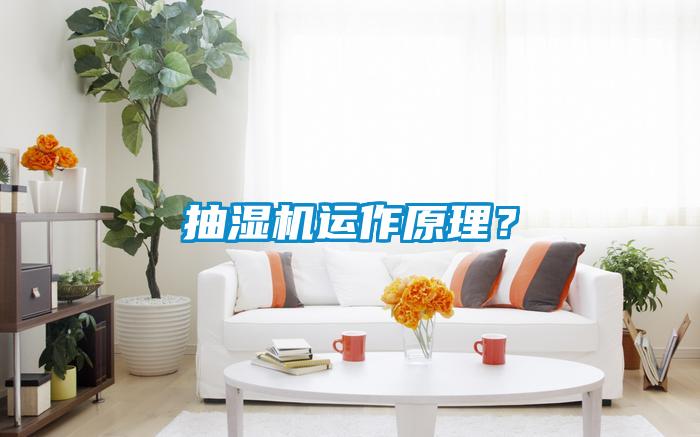 抽濕機運作原理？