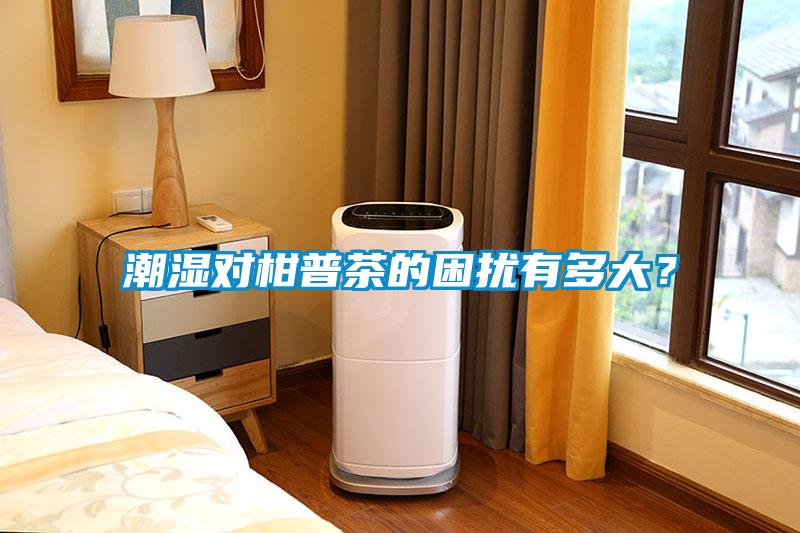 潮濕對柑普茶的困擾有多大？