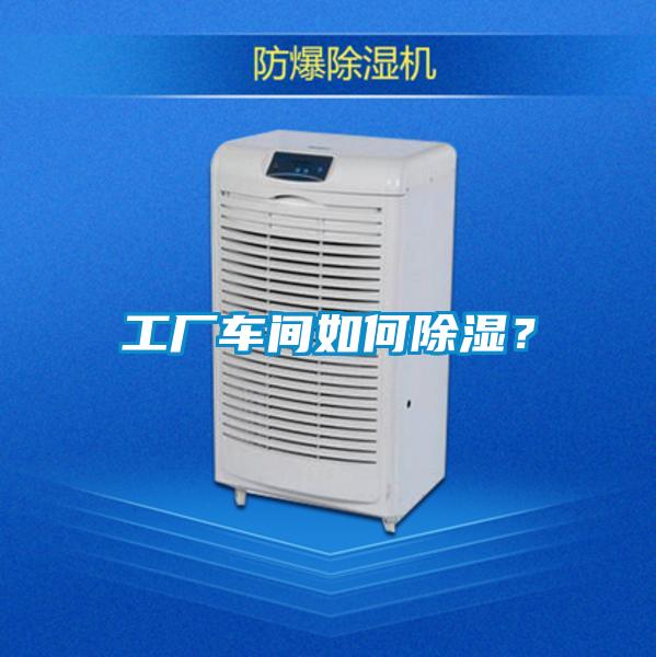 工廠(chǎng)車(chē)間如何除濕？