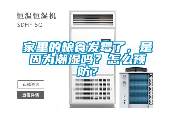 家里的糧食發霉了，是因為潮濕嗎？怎么預防？