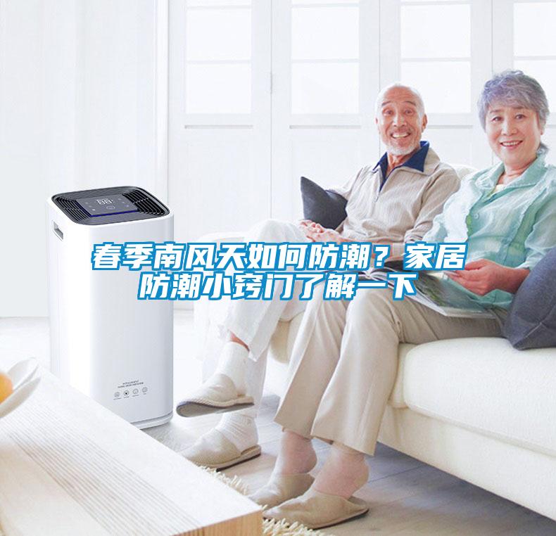 春季南風天如何防潮？家居防潮小竅門了解一下
