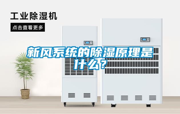 新風系統的除濕原理是什么？