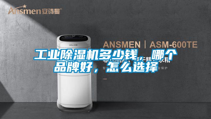 工業(yè)除濕機(jī)多少錢，哪個品牌好，怎么選擇