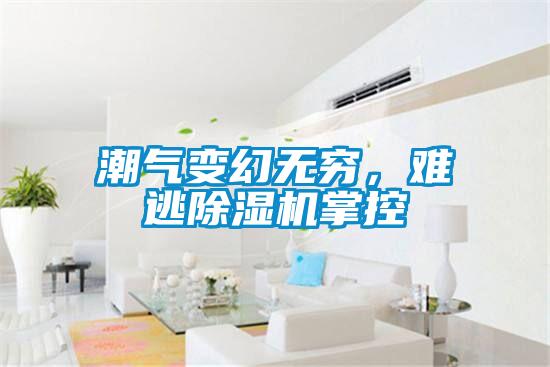 潮氣變幻無窮，難逃除濕機掌控
