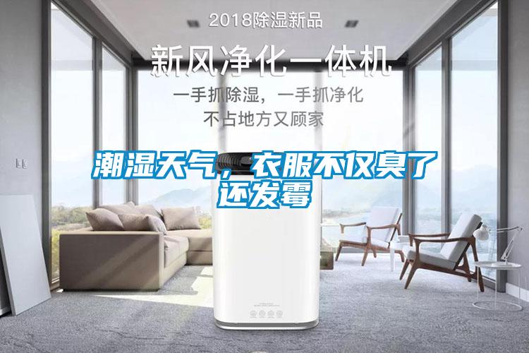 潮濕天氣，衣服不僅臭了還發霉