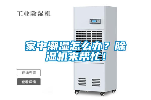 家中潮濕怎么辦？除濕機(jī)來(lái)幫忙！